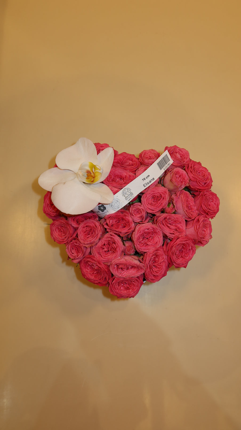 Elisana Petite Heart Hatbox